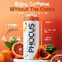 any-12pk-02 Large.webp