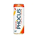 any-12pk-01 Large.webp