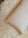 pillow-not-xtrfull-03 Medium.webp