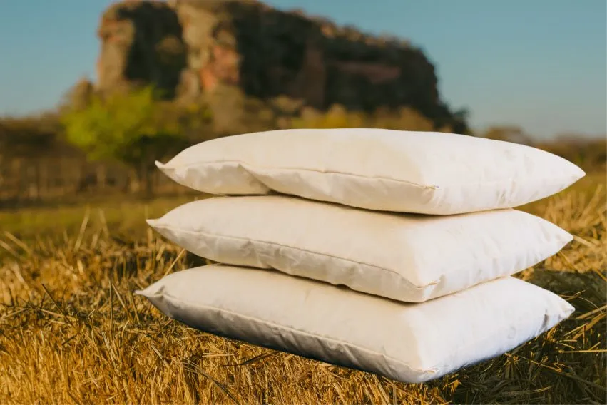 pillow-not-xtrfull-02.webp