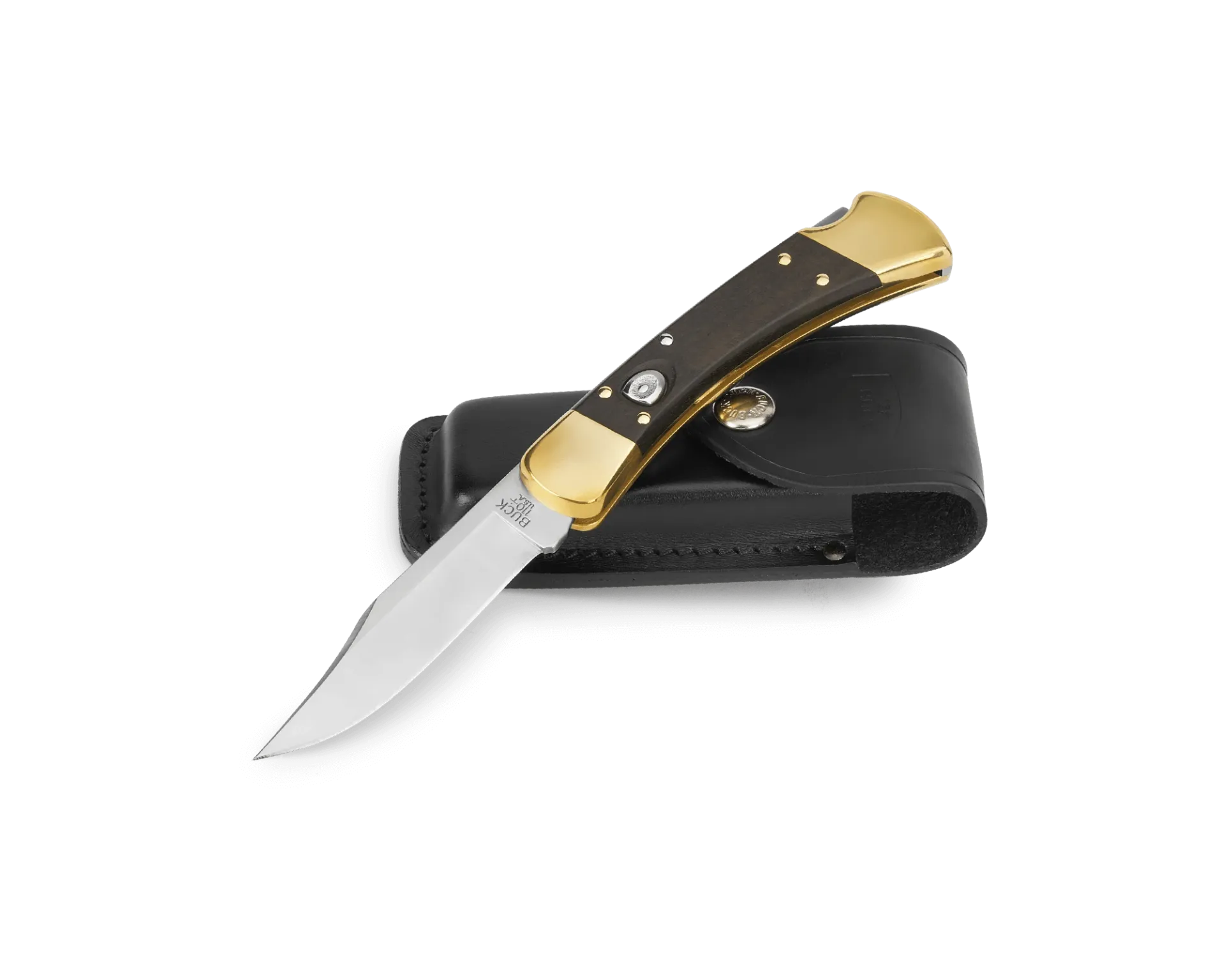 Buck 110 Auto Knife